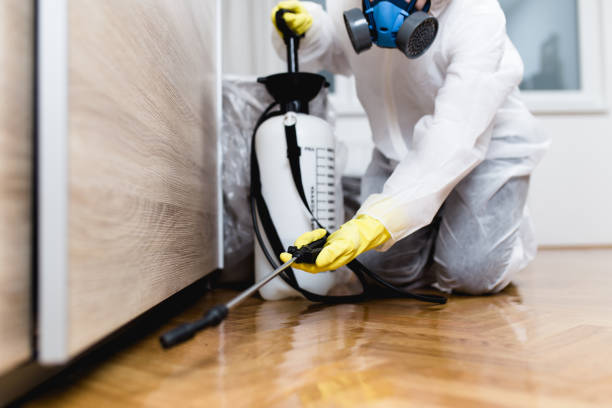Best Termite Control Services  in Lorain, OH