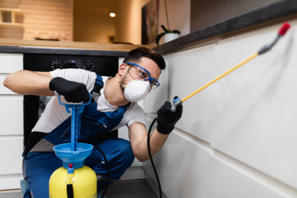 Best Flea Control Services  in Lorain, OH
