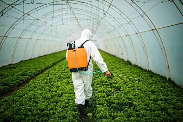 Best Pest Control Treatment  in Lorain, OH