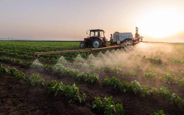 Best Pest Prevention Services  in Lorain, OH
