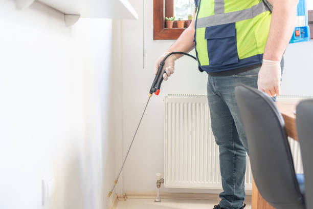 Best Flea Control Services  in Lorain, OH